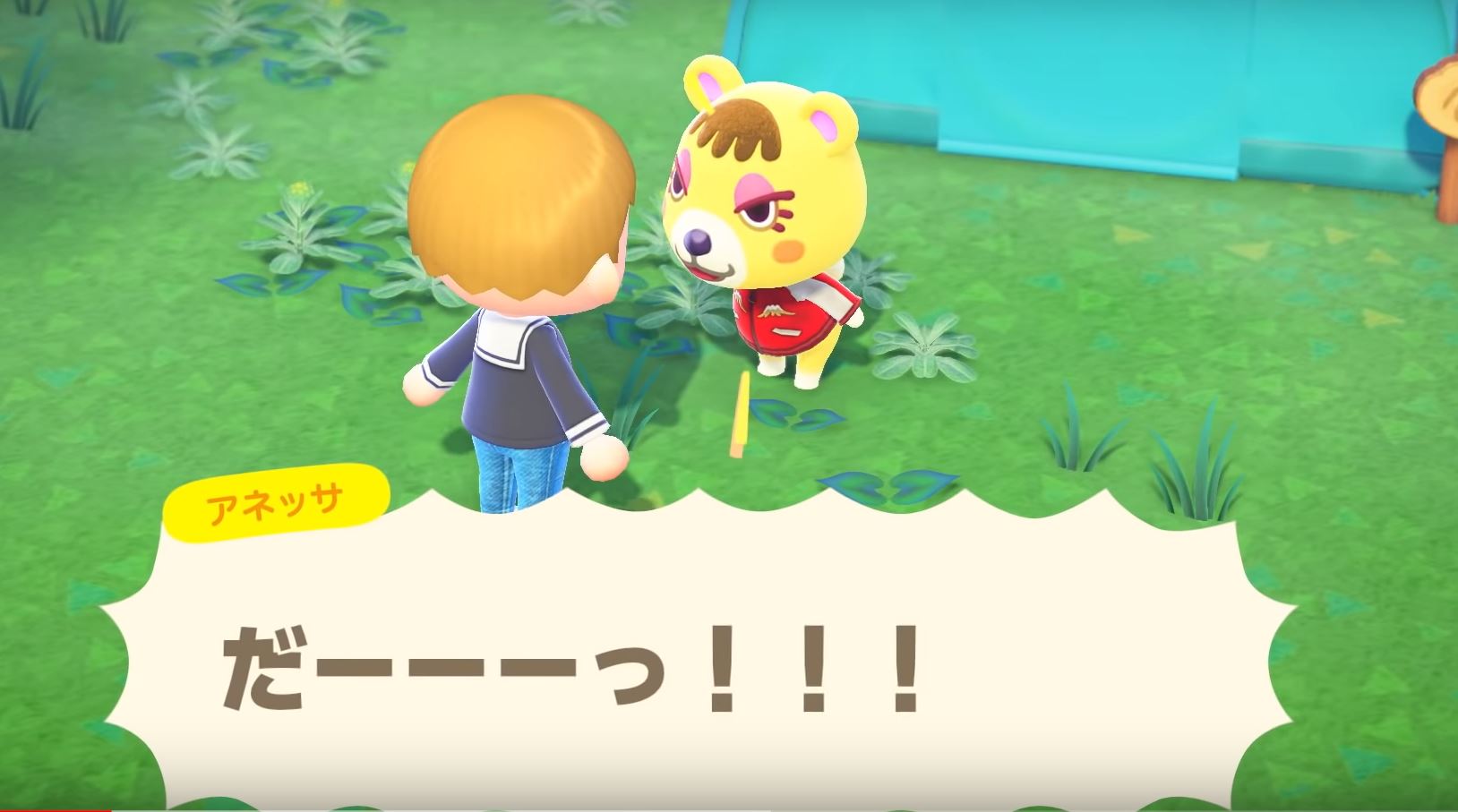 あつ森 アネッサ 人気